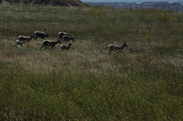 the Badlands